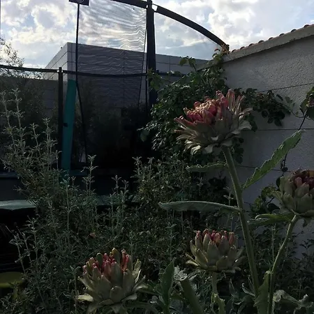 Holiday home La Petite Pause *